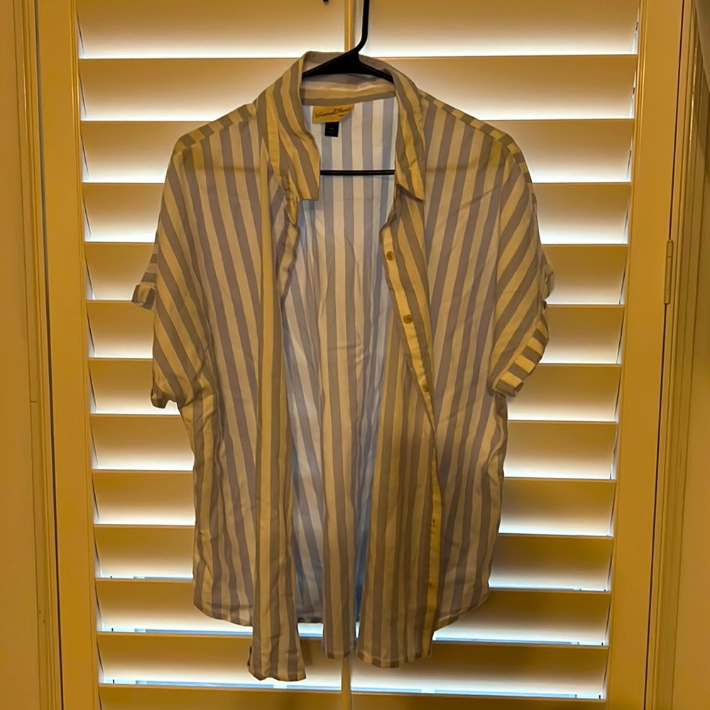 Blue striped button down